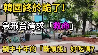 貪婪的代價！韓國半導體一夜腰斬，韓國終於跪了！急飛台灣求「救命」，臺積電冷眼看戲：親中十年的「斷頭飯」好吃嗎？