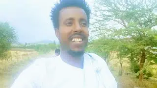 Diraamaa gorsaa bareddaa off kessaa qabuu