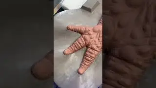 &ldquo;Toad Hands&rdquo; coming soon