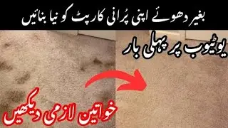 Easy Way To Clean Your Carpet || Easy Carpet Cleaning Hacks And Tricks || Room Makeover Hacks 