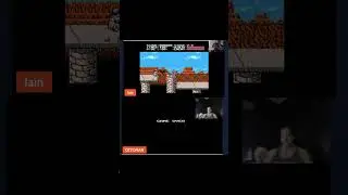 Ninja Gaiden When Birds Attack🐦
