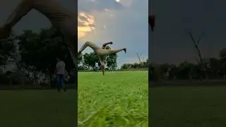 Touch down raiz gainer #flip #stunt #shortsyoutube #youtubeshorts #youtube #shorts #viralvideo