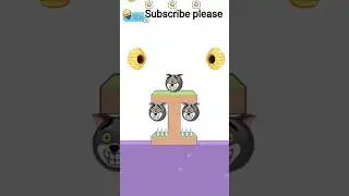 black dog in very interesting puzzle game down #water #park #sorts #youtubeshorts