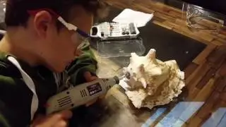Conch Shell Horn Making & Blowing