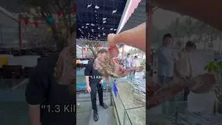 Покупка ОГРОМНОЙ рыбы-камня