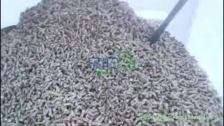 Wood Pellet Dryer in Germany 2&ndash;2.5TPH RDF Pellet Production Line