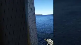 Brighton Newfoundland