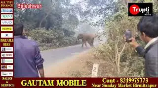 Baleshwar attack Elephant road 