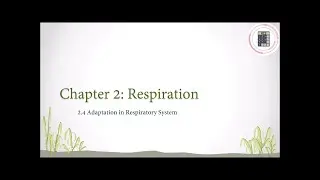 Science | Form 3 | Chapter 2 - 2.4 Adaptation in Respiratory System