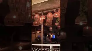 Titlie culinary bar #goa #shorts #viral