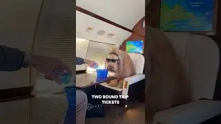 How my dog flies around the world! 🐶🛩️ #traveldog #dogtravel #goldendoodle #dogdad