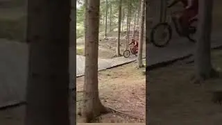 #mountain bike crash in tree 😭😭😭😭