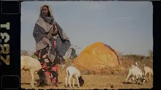 FAO Explications concernant les situations d&rsquo;urgence