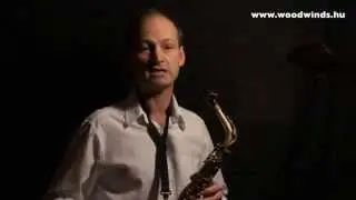 Alto Saxophone Test - Selmer MARK VII vs MARK VI