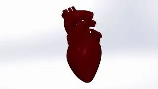 Heart Plaque Stability