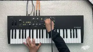WALDORF STVC-TRYING THE VOCODER | Hi-Fans
