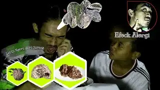 REACTION || Makan Masakan Sarang Tawon (lilin/Malam) Berserta Tawon Twaonnya yang muda (Enthung)