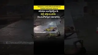 Tirumala Angapradakshinam Update #tirumala #ttd #angapradakshinam #tirumalaupdate #viralvideo #trend