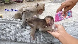 Riview Video of Kaya and Kayla