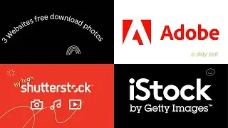 Download premium stock photos for free on the site