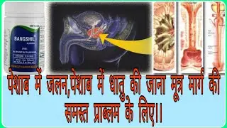 बंगशील टैबलेट(Bangshil Tabs)मूत्र की जलन,मूत्रमार्ग की पीड़ा,मूत्र कम आना,स्वप्नदोष,नपुंसकता, के लिए।