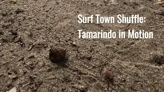 Surf Town Shuffle: Tamarindo in Motion