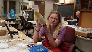 A Day in the Lab