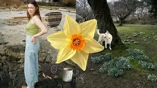 signs of life! my bf is a rockstar, spring cleaning + eastside flea... weekend in my life vlog