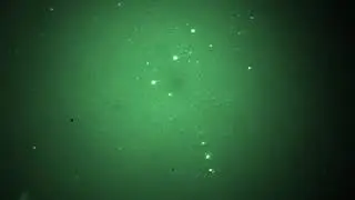 Orion night vision with P8079 Hp  80 F1,7 lens asi zwo 290 mc