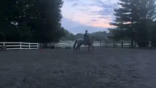 Training level bridless