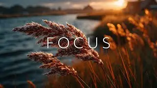 Serene Acoustic Guitar for Unwinding | Golden Hour Nature Sounds for Deep Relaxation
