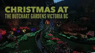 Christmas at The Butchart Gardens, Victoria BC (vlog)🎄 🔔 🪴What to do in Victoria BC Canada travel