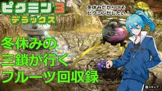 【冬休みピクミン3】年末の三鎖が行くフルーツ回収録【 #三鎖シアン #Vtuber #pikmin3  】