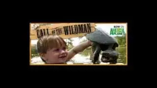 wildman.avi