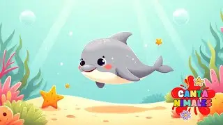 🦀 Cris el cangrejo camina de lado – Música infantil con ritmo marino