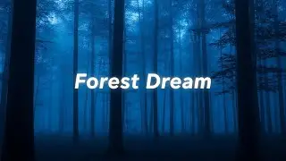 1 Hour Peaceful Forest Dawn Sounds for Deep Meditation and Positive Energy Healing