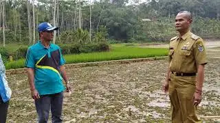 Kades Desa Sadewata