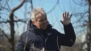 Tăierile de &icirc;ntreținere si fructificare ale mărului &ndash; Prof. dr. Florin Stănică (USAMV București) III