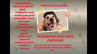 Pet Loss Support with Mamie Welcome a sacred space for pet parents who are grieving.