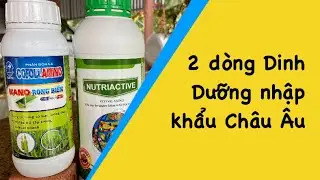 Nutriactive from An Phat Nong company and Nano seaweed from Baconco company. They work well on an...