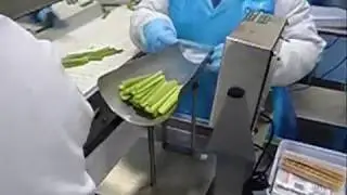 Retail packaging line for celery sticks - Filling jigs, Conveyor & Vertical bag  sealer