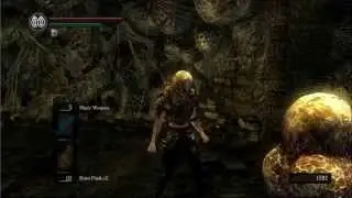 Dark Souls - Gaining Eingyi's trust