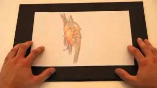 QFlowExplorer - VisWeek 2011 teaser