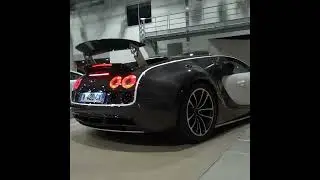 $3 5 MILLION Bugatti Mansory Vivere startup