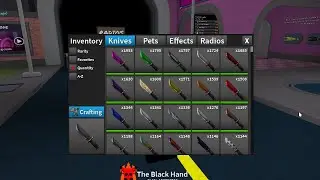 The Biggest Inventory in Assassin