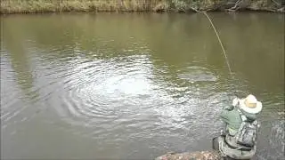 Brett . 2.3kg Small Mouth Yellow Fish- Vaal River- South Africa
