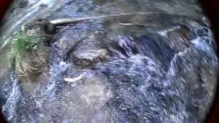 Copia di Trote a Spinning