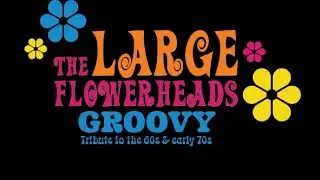 The Large Flowerheads Groovy 60s Promo Video