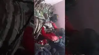 हामी थामी जातिकाे कुल देवता बुजाउदै हुनुहुन्छ गुरु बाले