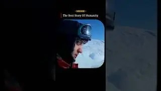 They Were Dying&hellip; But Humans Were Not Allowed to Help | This Penguin Story Will Break You 😢❄️